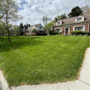 yard care by Certified Affordable Lawn Service reviewed on November 20, 2025