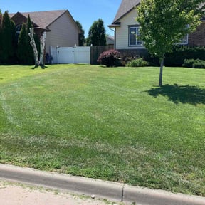yard maintenance by NMH Renovations&amp;landscaping LLC reviewed on August 26, 2023