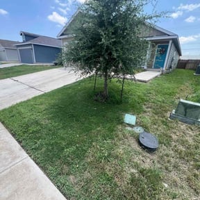 Bush Trimming by Sharp edge reviewed on May 14, 2024