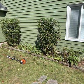 Bush Trimming by Anthony Taylor reviewed on October 18, 2025