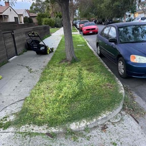 lawn maintenance by C &amp; J Mowing reviewed on May 20, 2024