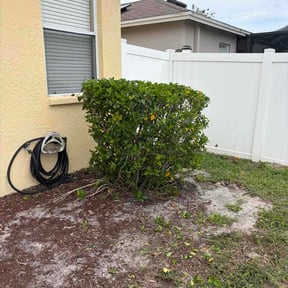 Bush Trimming by Lone Star Lawn Care reviewed on June 9, 2026