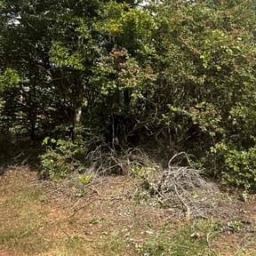 Bush Trimming by Posadas landscaping services reviewed on October 24, 2025