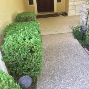 Bush Trimming by Linares Lawn Care reviewed on August 20, 2025