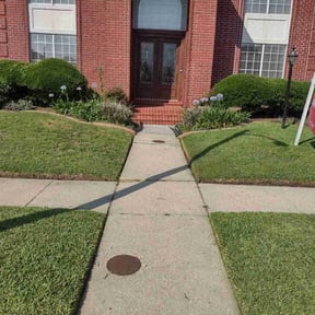 yard care by Choice Specialties LLC reviewed on August 21, 2025