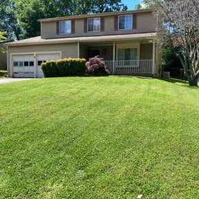 yard maintenance by Clockwork Cutz reviewed on December 3, 2025