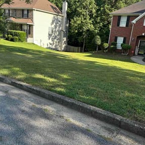 Bush Trimming by Js lawncare and more llc reviewed on July 2, 2026