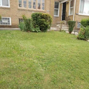 Bush Trimming by Miramontes Landscaping reviewed on November 21, 2025