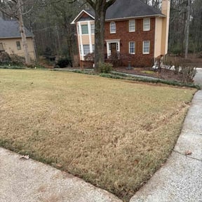 Leaf Removal by Archi's Lawn Care reviewed on November 28, 2025