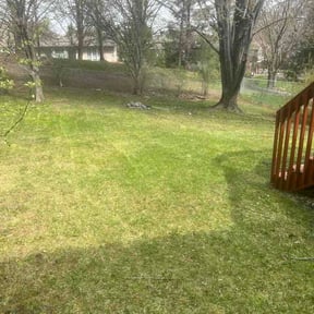 Leaf Removal by Greenleaf Premier LLC reviewed on May 18, 2026