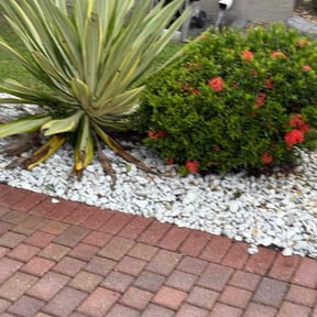 Flower Bed Weeding by All Pro Lawn Maintenance LLC reviewed on January 1, 2026