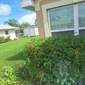 Bush Trimming by Reliant South Lanscaping LLC reviewed on October 18, 2025