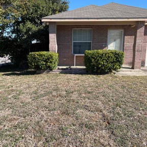 Bush Trimming by Pro City Wash reviewed on October 24, 2025