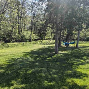 yard service by Lawn Junkie reviewed on August 15, 2025