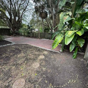 Leaf Removal by TNT landscaping &amp; Lawncare llc reviewed on December 10, 2025