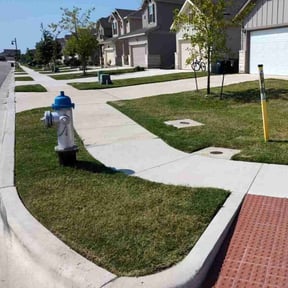 landscaping services by Evergreen Lawn Care reviewed on August 17, 2025