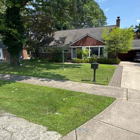 yard maintenance by Mieozzies Lawn Service LLC reviewed on December 19, 2025