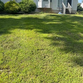 yard maintenance by Superior Landscape & Maintenance, Inc. reviewed on August 17, 2025