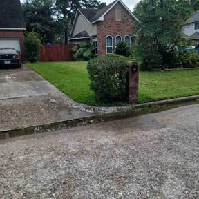 Bush Trimming by Yard Viking Outdoor Services reviewed on August 4, 2026