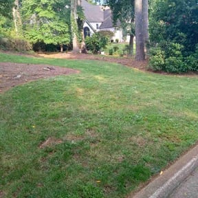 Bush Trimming by Pro Lawns 320 reviewed on August 11, 2025