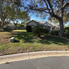 Leaf Removal by Cat's Landscaping reviewed on June 7, 2026