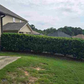 Bush Trimming by Jordan's Lawn Service reviewed on June 30, 2026