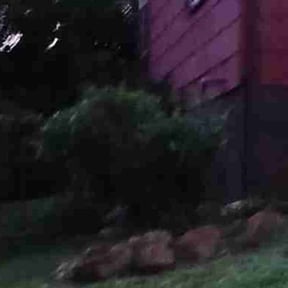 Bush Trimming by Roots of the Earth Inc. reviewed on October 20, 2025