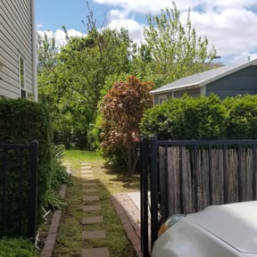 Bush Trimming by Mike's Lawn & More reviewed on August 13, 2025