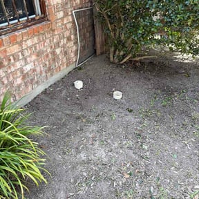 Flower Bed Weeding by Hazzards reviewed on July 18, 2026