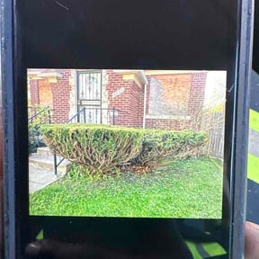 Bush Trimming by Generations landscape mi reviewed on May 12, 2026