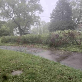 Bush Trimming by J&amp;l landscaping reviewed on May 5, 2026