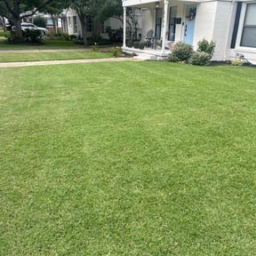 yard care by Harkin Enterprises LLC reviewed on November 23, 2025