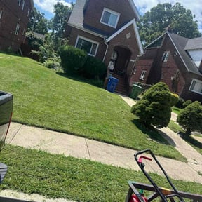 grass maintenance by AYS Lawncare reviewed on April 25, 2024