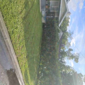 Bush Trimming by Verns Lawncare LLC reviewed on December 20, 2023