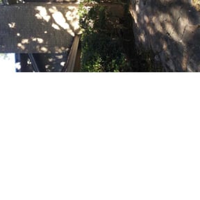 Bush Trimming by ProGreenlq reviewed on October 13, 2024