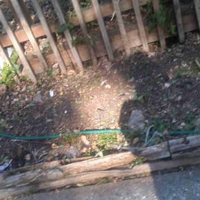 Flower Bed Weeding by Gus lawn's reviewed on August 14, 2025