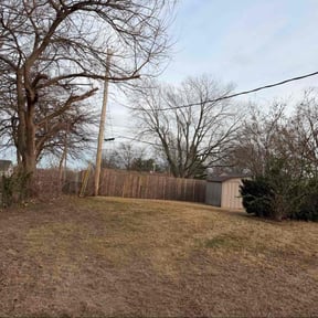 Leaf Removal by All About It services reviewed on December 11, 2025