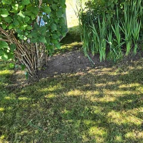 Flower Bed Weeding by ProGreen Landscaping reviewed on May 22, 2026