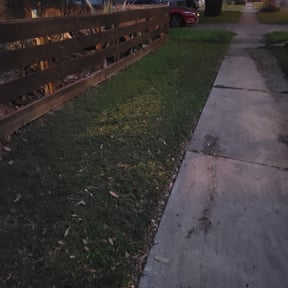 Leaf Removal by Paint by Ponch reviewed on September 29, 2025