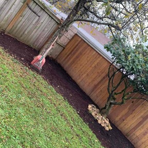 Leaf Removal by B &amp; N Straight Edge Lawn Care LLC reviewed on December 17, 2025