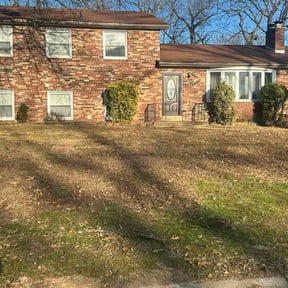 Leaf Removal by Cuts By Chuck reviewed on February 23, 2026