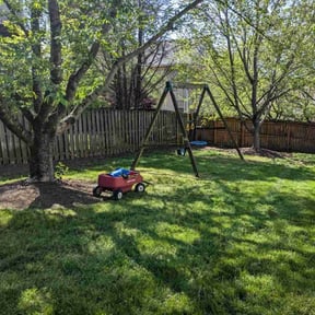 landscaping services by Geon Woo Kim reviewed on August 17, 2025