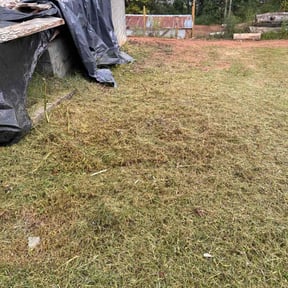 Bush Trimming by A.V Masonry &amp; Construction reviewed on October 19, 2025