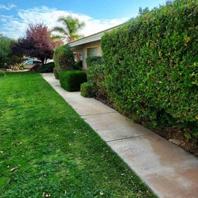 Bush Trimming by Stuff lawn maintenance llc reviewed on November 23, 2025