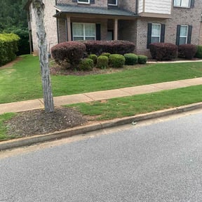 Bush Trimming by Sir Knights Lawn Care reviewed on August 19, 2025