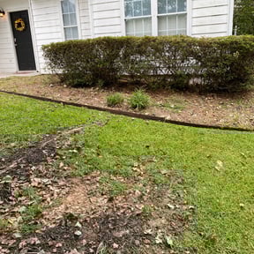 Bush Trimming by American landscaping llc. reviewed on November 18, 2025