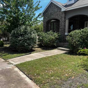 Bush Trimming by Regain Lawncare reviewed on July 30, 2026