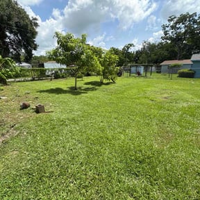 residential landscaping by Deal's Lawn Maintenance reviewed on November 21, 2025