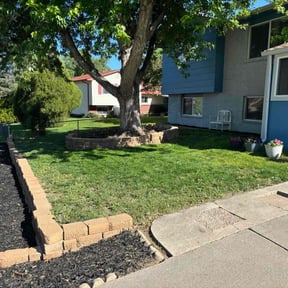 landscaping by David landscaping services reviewed on August 16, 2025