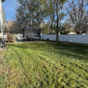 Leaf Removal by Nisha Lawn Care reviewed on April 8, 2026